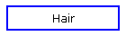 Hair